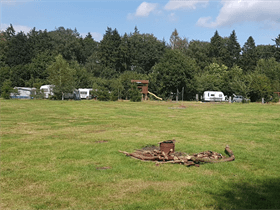 Camping De Dassenboom in Wehl