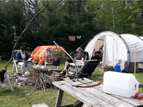 Camping De Dassenboom in Wehl