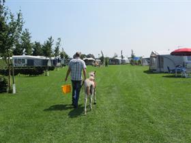 Camping De Heibloem in Baarschot