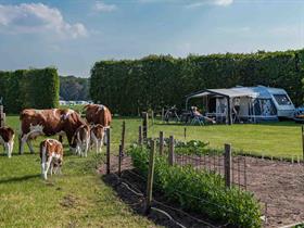 Camping Het  Varsenerveld in Ommen