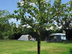 Camping De Rozenhorst in Lottum