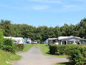 Camping Hoogduin in Cadzand