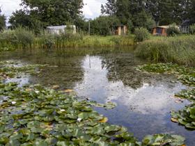 Camping De Joxhorst in Broekland