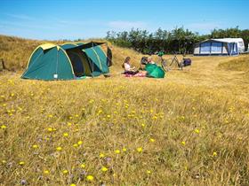 Camping Klein Vaarwater in Buren  Ameland