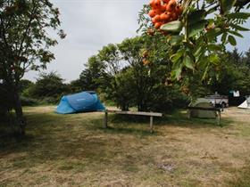 Camping Middelpôlle in Nes - Ameland