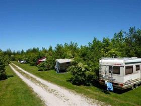Camping Lauwerszee in Vierhuizen