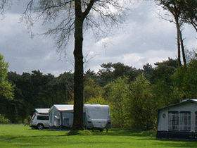 Camping De Kleine Witrijt in Bergeijk