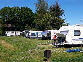 Camping De Hoge Bomen in Eeserveen