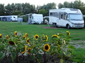 Camping De Vuurtoren in Westkapelle