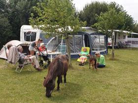 Camping De Lachende Loods in Koudekerke