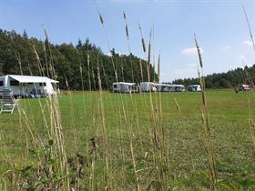 Camping De Solse Berg in Garderen