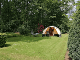 Camping De Rosengaerde in Dalfsen