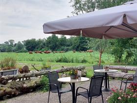 Camping De Leuve Hoeve in Vuren