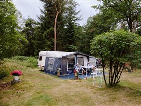 Camping de Noordster in Dwingeloo