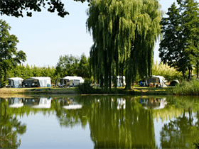 Camping Betuwe in Kesteren