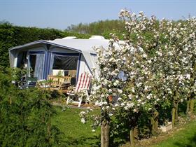 Camping De Fruitgaard in Burgh-Haamstede