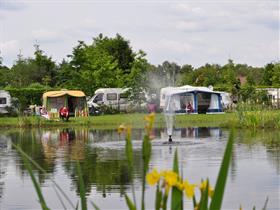 Camping Aan de Groene Papegaai in Hoogerheide