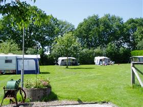 Camping Aan de Groene Papegaai in Hoogerheide