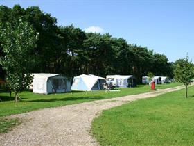 Camping Natuurplezier in Reuver