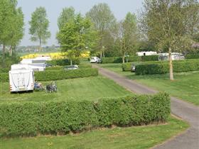 Camping De Wielewaal in Cadzand