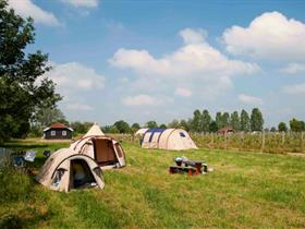 Camping Nieuw Grapendaal in Terwolde