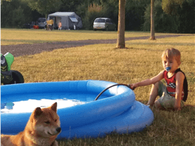 Camping Perkpolder in Walsoorden