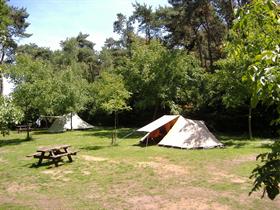 Camping Hessenoord in Halle