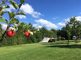 Camping De Kamperhoek in Vogelwaarde