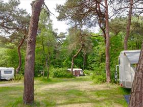 Camping Zonnehoek in Hilversum
