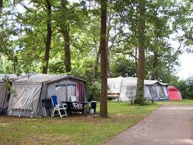 Camping De Betteld in Zelhem
