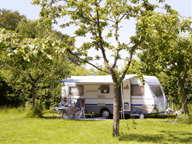 Camping De Appelweide in Winterswijk Kotten