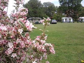 Camping Sint Jan in Nieuwvliet