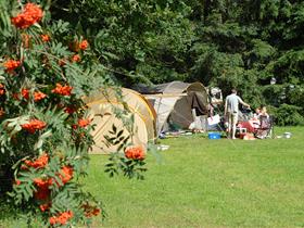 Camping Old Putten in Elburg