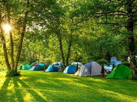 Camping De Dobbe in Holwerd