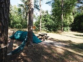Camping Lheederzand in Dwingeloo