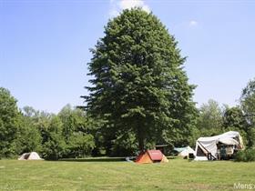 Camping Markeplaat in Zevenbergen