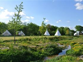 Camping Bij Ons in Groesbeek