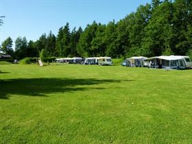 Camping De Riegheide in Schoonoord