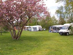 Camping Johanna Hoeve in Ryptsjerk