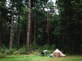 Camping De Dennen in Schoonloo