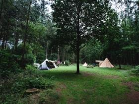 Camping De Dennen in Schoonloo