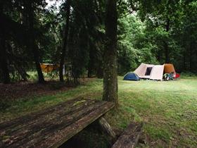 Camping De Dennen in Schoonloo