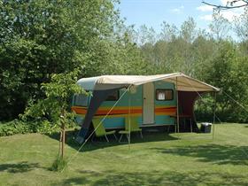 Camping De Witte Buizerd in Drouwenerveen