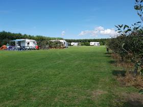 Camping De Zeeuwse Vlag in Zonnemaire