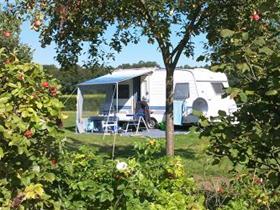 Camping De Wijte in Eefde