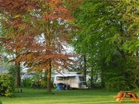 Camping Nieuwe Buyl in Sinderen