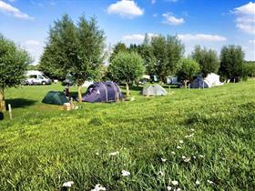 Camping 't Hofke in Olburgen