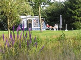 Camping Meistershof in Dwingeloo