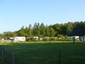 Camping De Nieuwe Welpshof in Aalten