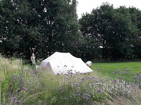 Camping Uitspanning Zonnedauw in Grashoek